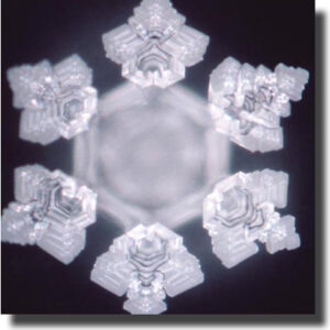 03art_acqua_emoto_courtesy