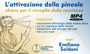 Pineale