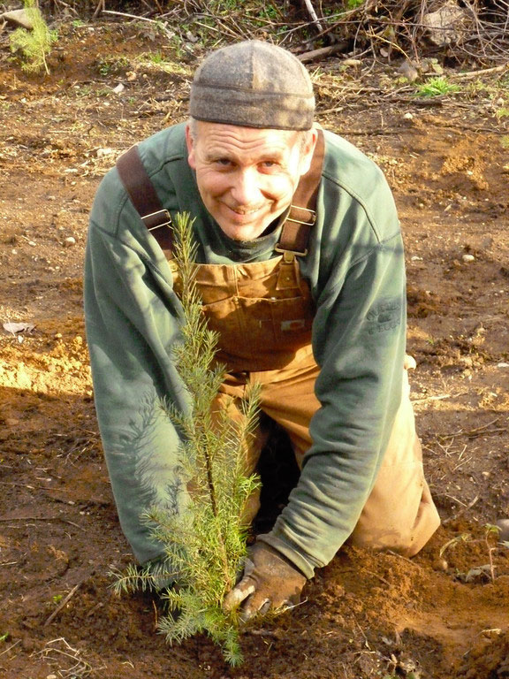 Alberi7