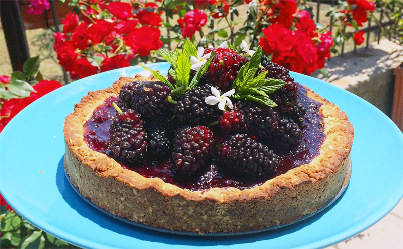 crostata-gelsi2