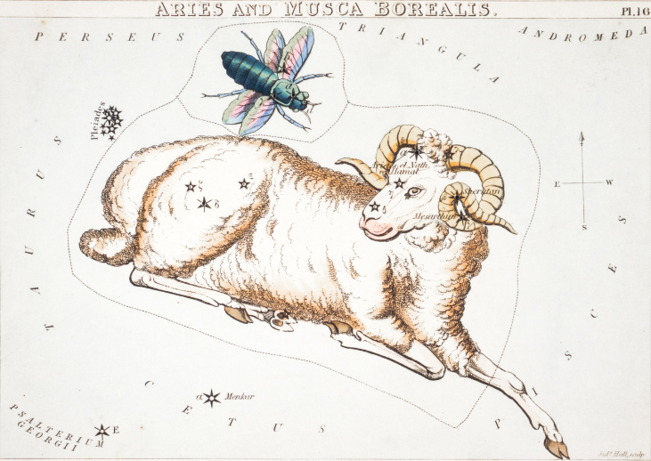 previsioni astrologiche
