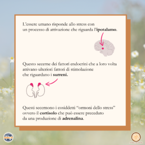 Promo: Stress e risveglio interiore