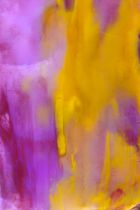 giallo viola